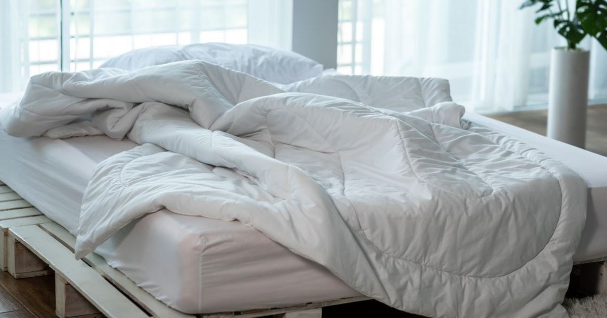 Sådan slipper du af med 'mikroskopiske' skadedyr i din seng - det er ...