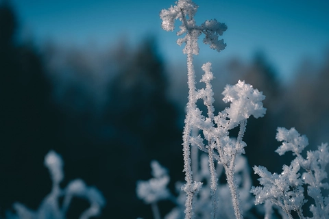 Foto: Shutterstock