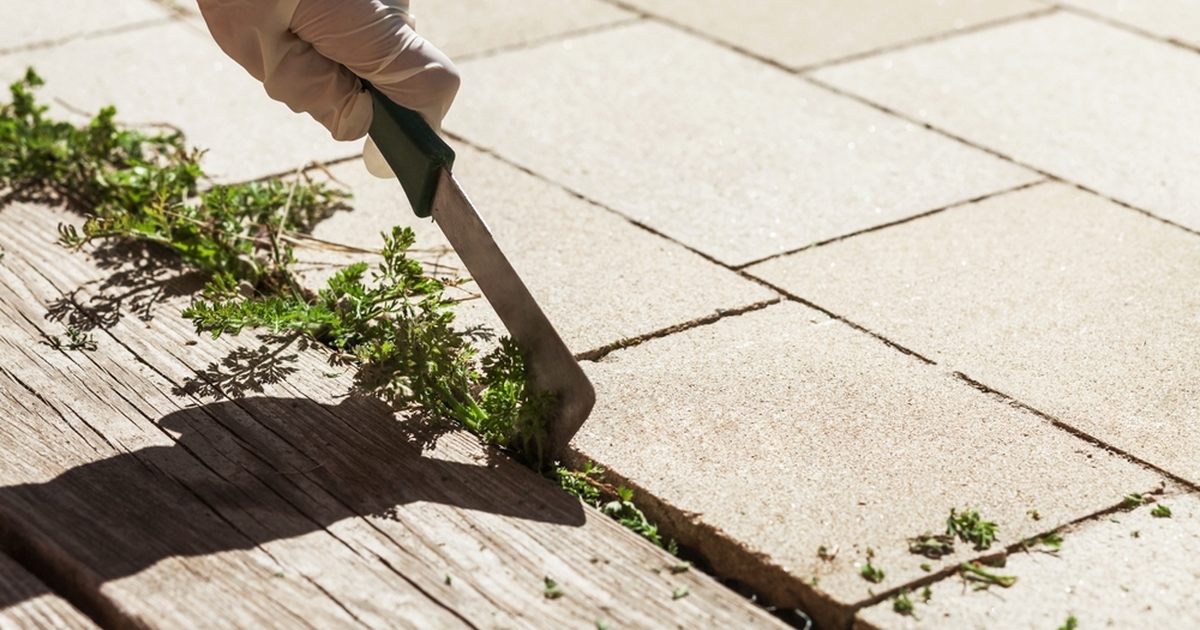 Disse effektive og billige midler mod ukrudt kan blandes derhjemme til